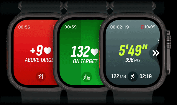Hybrid Sentry Apple Watch app interface and screens